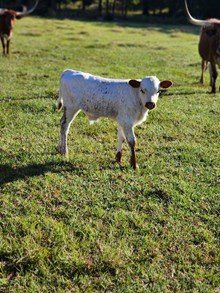 WR Guardian x Lee Leigh 