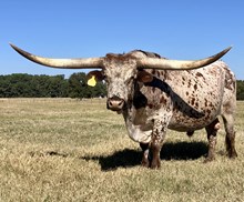 TCC SHOOTIN IN THE DARK